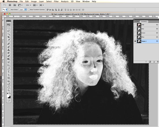 How to Cut Out Hair in Photoshop using Replace Color and Levels
