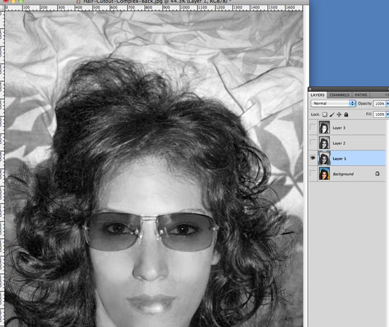 Cutting Out Hair in Photoshop - Identify areas of light and dark