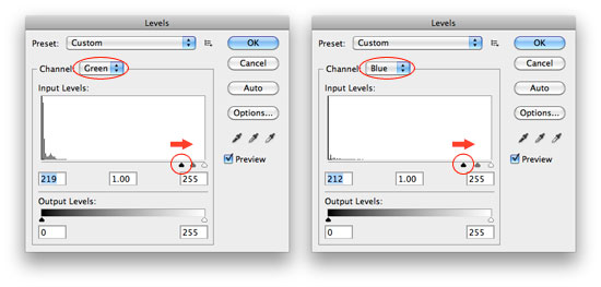 How to Cut Out Hair in Photoshop - Use Levels