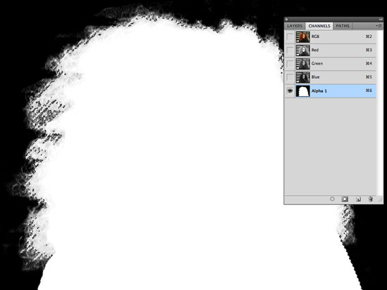 How to Cut Out Hair in Photoshop - Block out areas of white and black